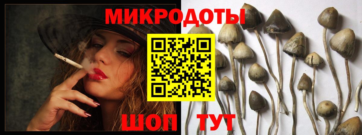 как найти   Псилоцибиновые грибы Cubensis  Вход с VPN  Качканар 